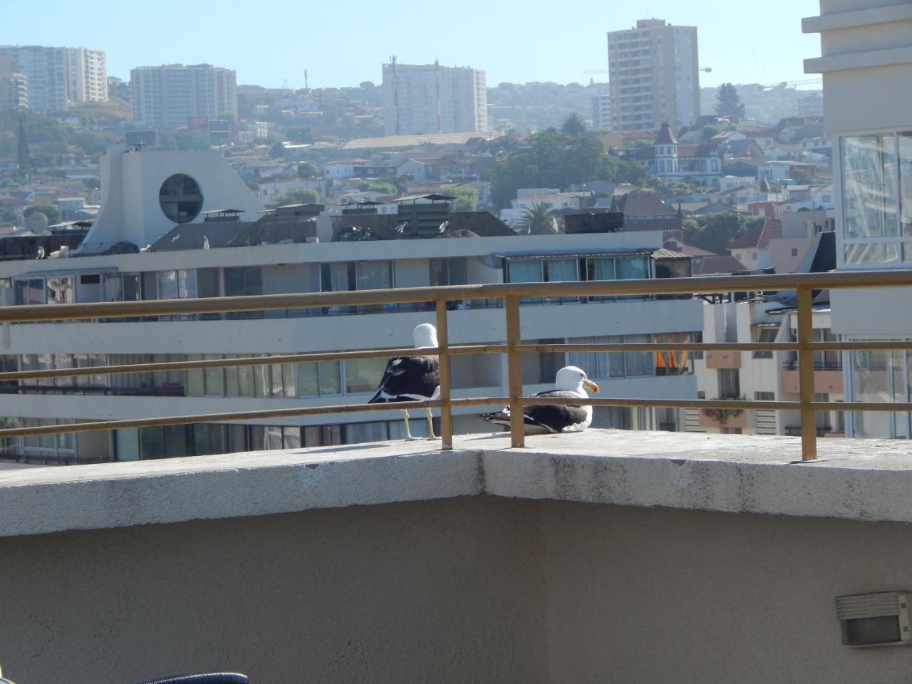 1201 Departamento Vs Centro Vina Apartment Vina del Mar Exterior photo